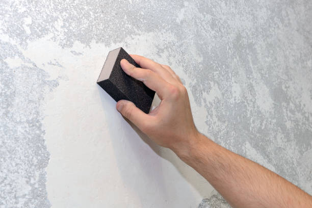 Best Basement Mold Removal  in Nashua, IA